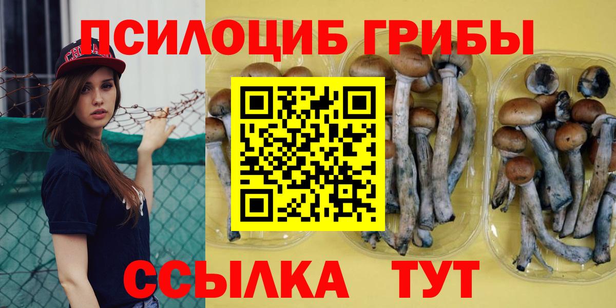 Галлюциногенные грибы мицелий  Галлюциногенные грибы мухоморы  Владикавказ  даркнет сайт  Вход с VPN 
